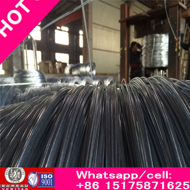 Hgih Tensile Steel Wire/Galvanized Steel Wire/Galvanized Iron Wire with Low Price