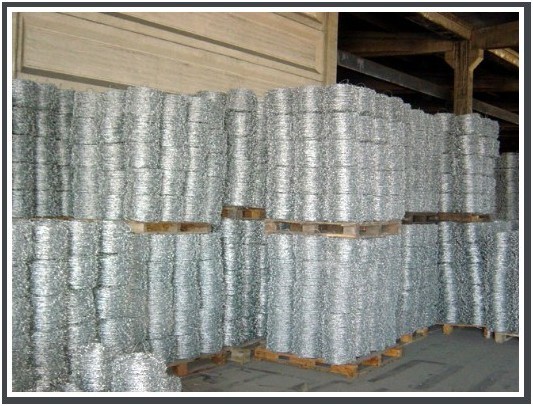 Barbed Wire Fence (Galvanized and PVC Coated)