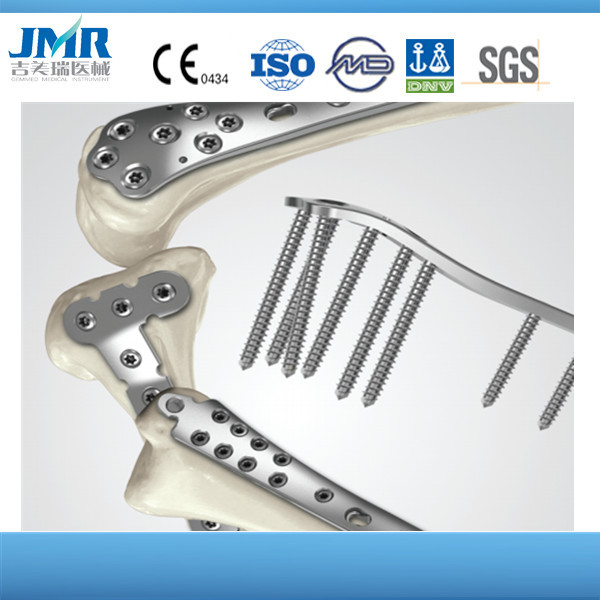 Orthopedic Bone Recovery Femoral Distal Locking Compression Plate Orthopedic Trauma Implant Orthopedic Bone Plates and Screws