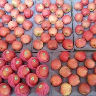 Chinese Fresh Apple FUJI Apple, Huaniu Apple, Golden Apple