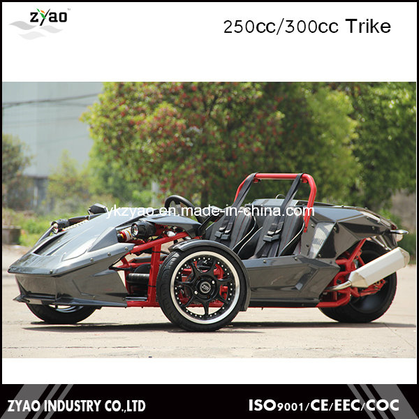 3 Wheel Car for Sale Drift Trike Japan Trike Motorcycle Ztr 250cc EEC