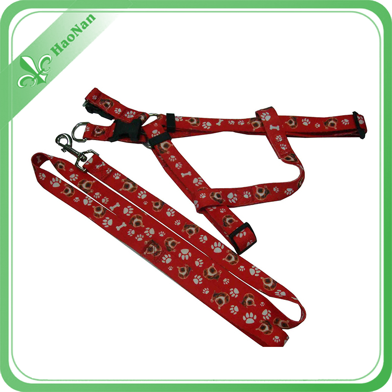 Custom Colorful Printed Nylon Dog Leash