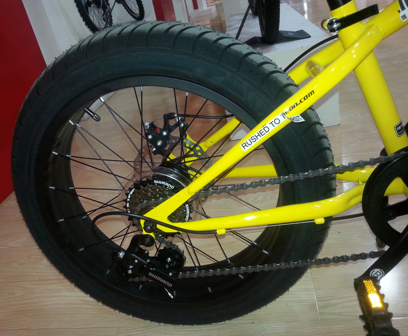 Rear 6 Speed Youngster Mountain Bike 20