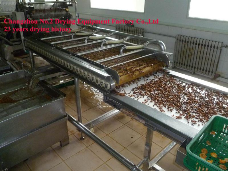 Fruit Dedicated Belt Drying Machine