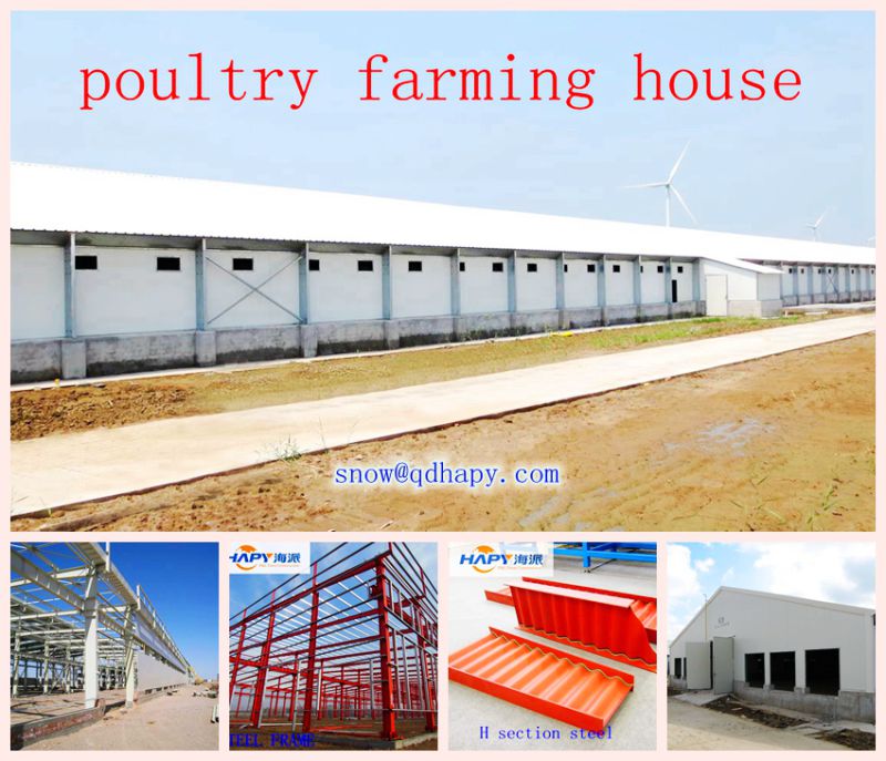 Automatic Poultry Farm Machinery with Prefabricated House for One-Stop