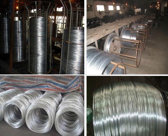 Factroy Price! ! ! 2.0 mm Galvanized Steel/Iron Wire Manufacturer