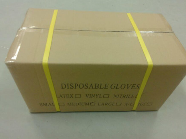 Disposable Vinyl Gloves 9inch and 12inch (PVC gloves)