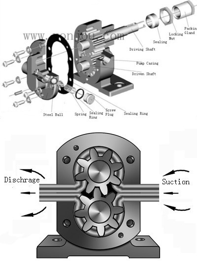 Lube Oil Transfer Pump -- Two Helical Gears