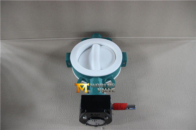 6 Inch Gear Operated PTFE Lined Wafer Butterfly Valve