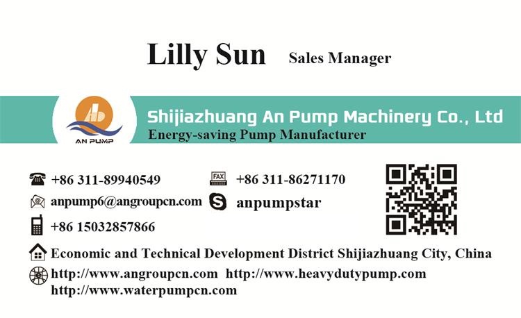 Bp Series Vertical Submersible Sump Slurry Pump