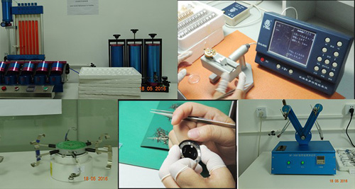 Dw China Suppliers Custom Nylon Strap Watch