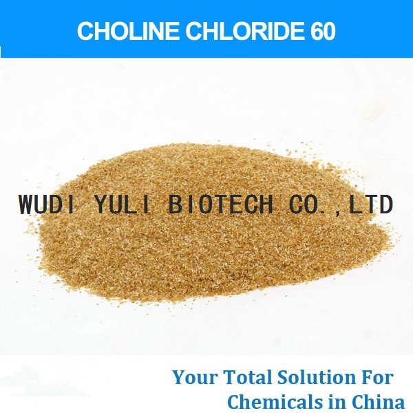 Choline Chloride 60% Corn COB (feed additives)