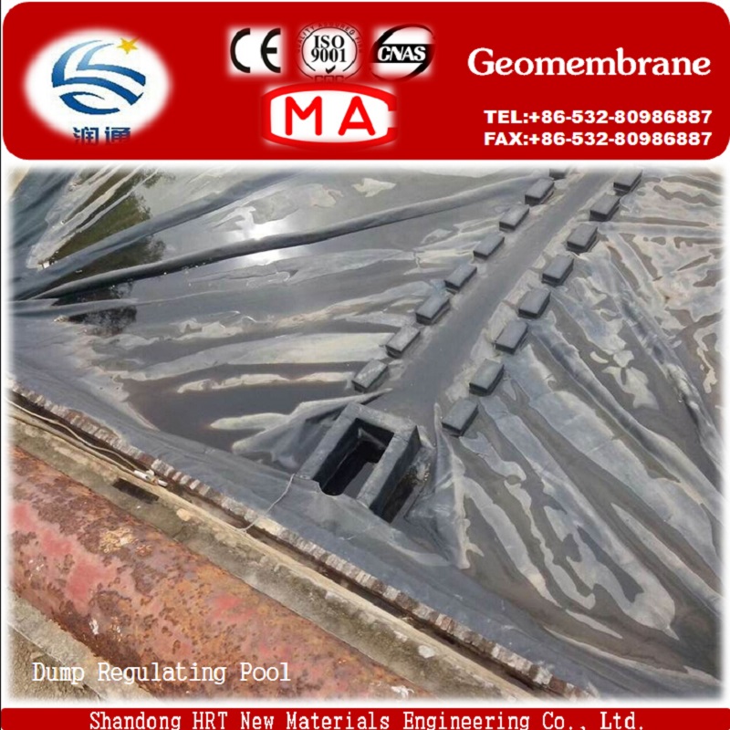 Made in HDPE Plastic Modified Bitumen Waterproofing Membrane