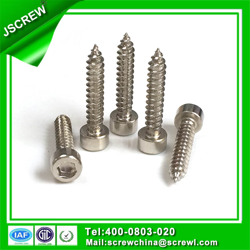 China Leading Hardware Factory Stainless Steel Hex Socket Head Cap Screws