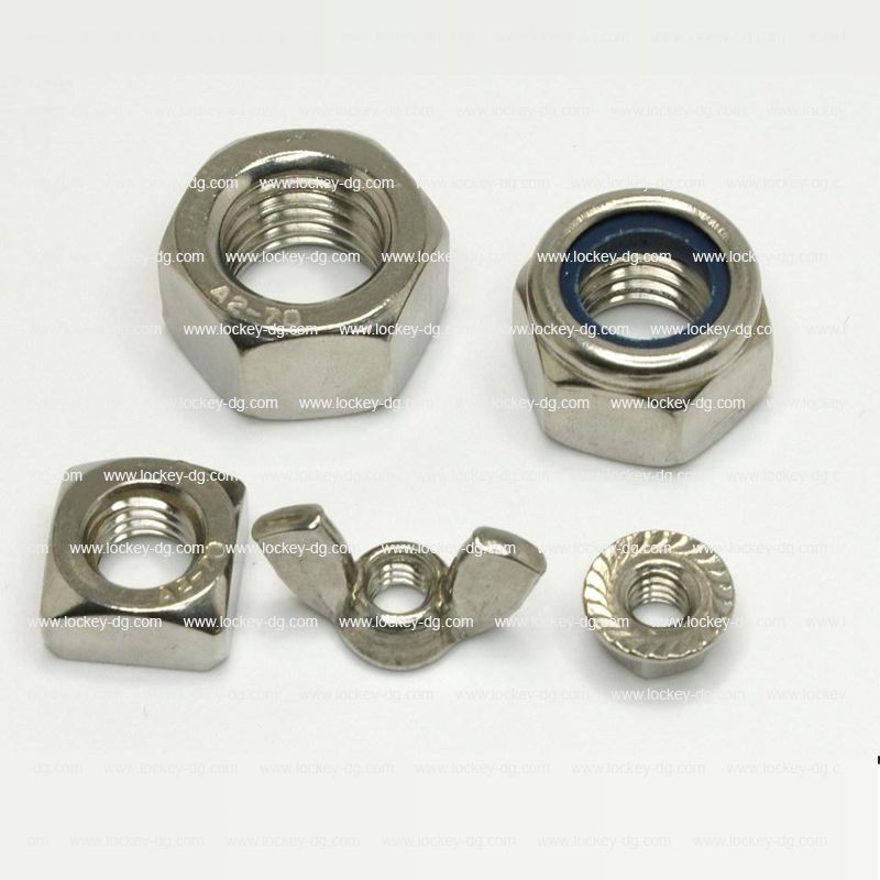 Stainless Steel Hex Nut / Square Nut / 2h Nut / Weld Nut / Flange Nut / Nylon Lock Nut