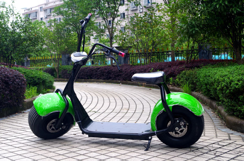 Factory Price Hot Sellling 1000W Electric Scooter with Ce (JY-ES005)
