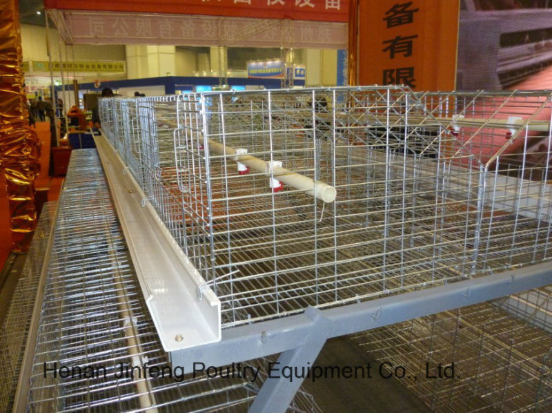 Automatic Poultry Equipment Chicken Cage