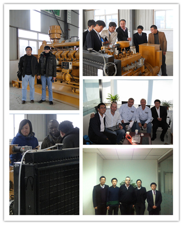 China Coal Gasifier Power Plant Mine Coal Gas Power Generator