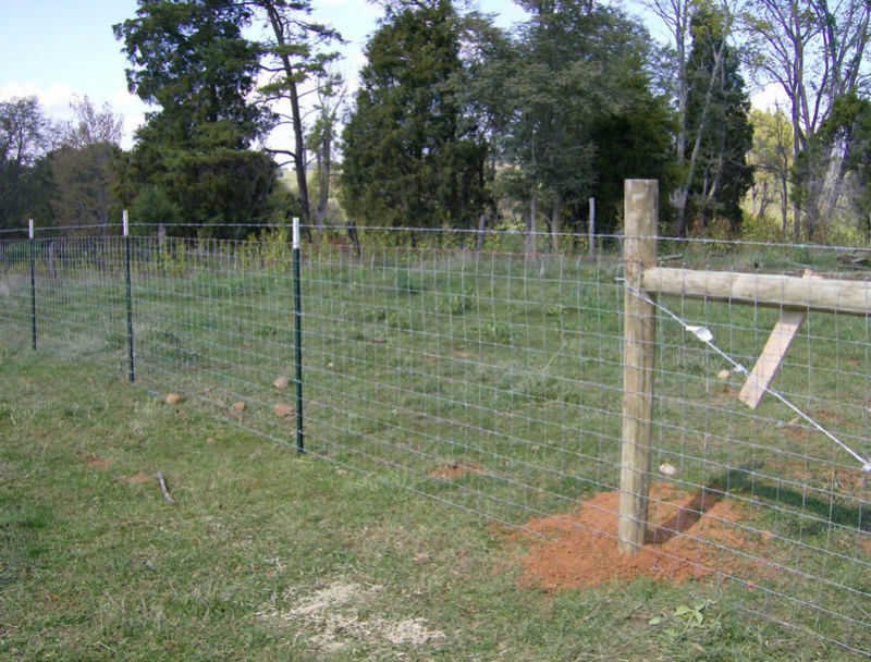 Heavy Galvanized&High Tensile Fixed Knot Fence