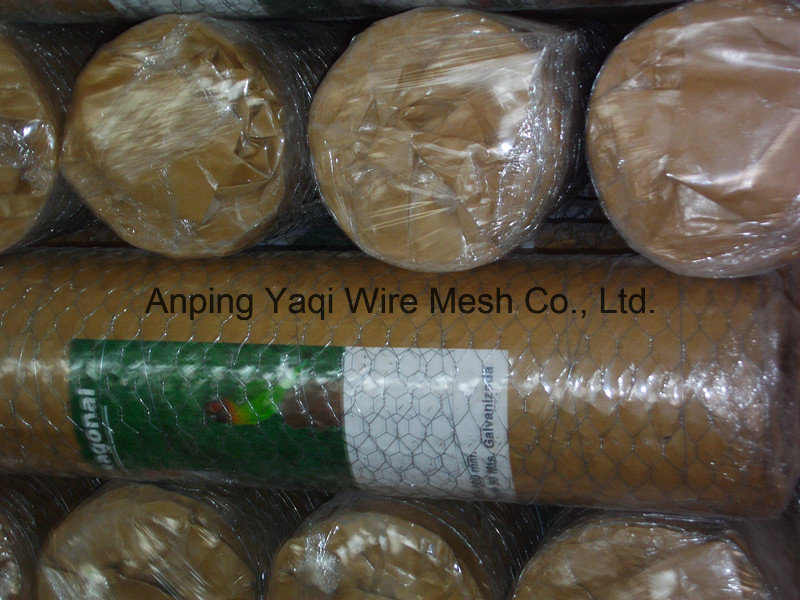 Anping Hexagonal Chicken Wire Mesh Hexagonal High Quality