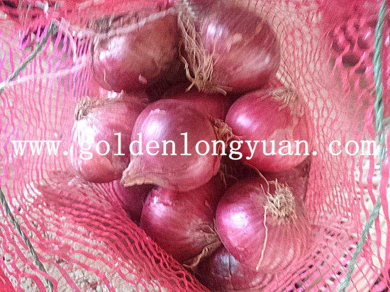 2016 New Crop Fresh Red Onion