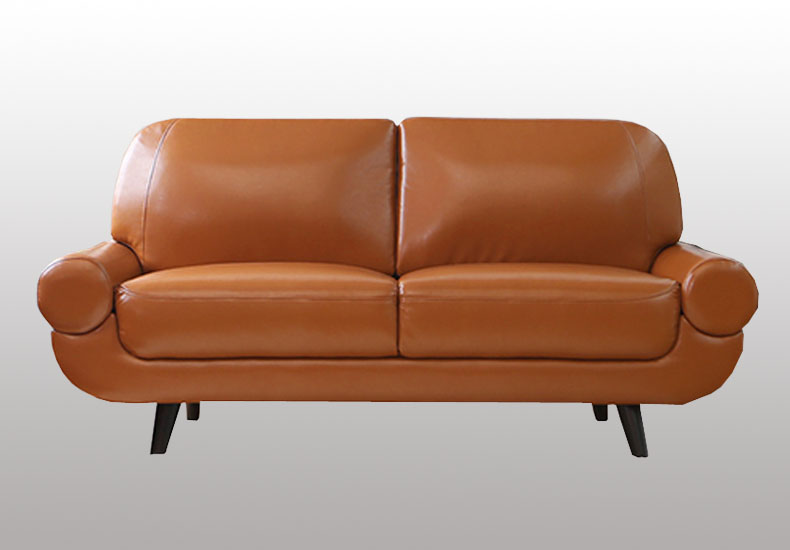 New Design Wooden Leather Sofa for Home