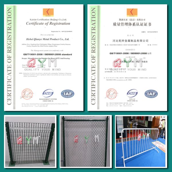 Popular China Fence Welded Euro Mesh