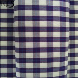 100% Cotton Poplin Woven Yarn Dyed Fabric for Shirts/Dress Rls50-2po