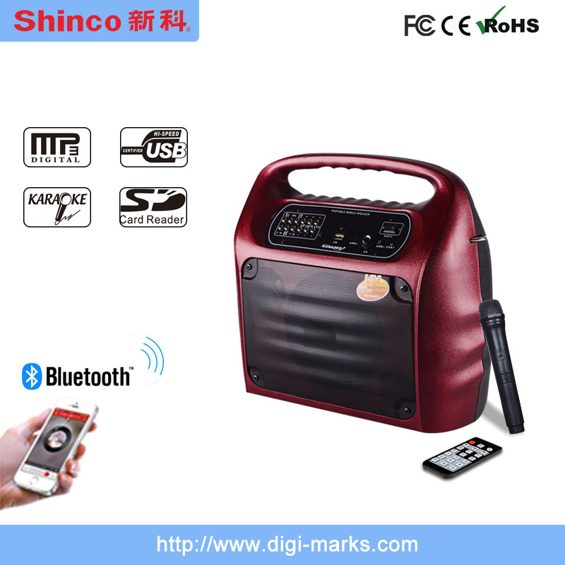 Hot Sale Karaoke Portable with Bluetooth and FM Speaker