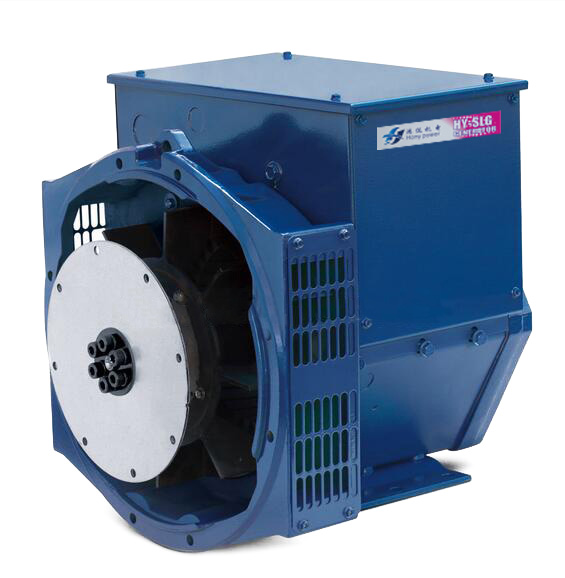 Powerful Brushless Slg Three-Phase AC Generators/Alternator China's Producer