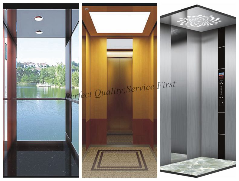 Good Vision Home Elevator Passenger Elevator Without Machine Room