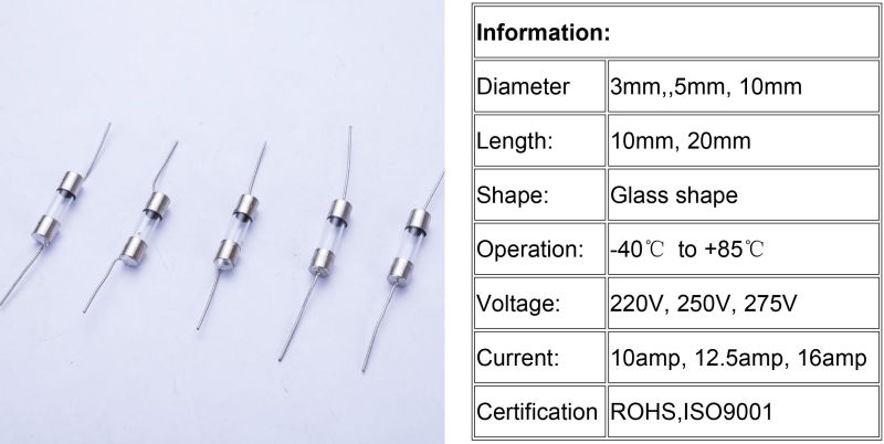 Hot Sell High Voltage Glass Fuse/250V Glass Tube Fuse