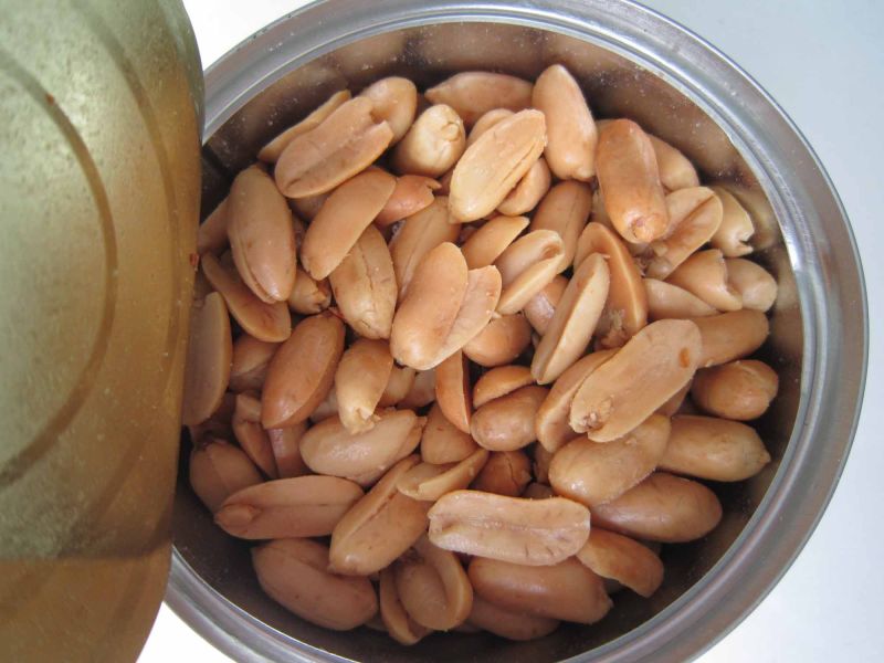 Fried & Salted Peanuts with High Quality