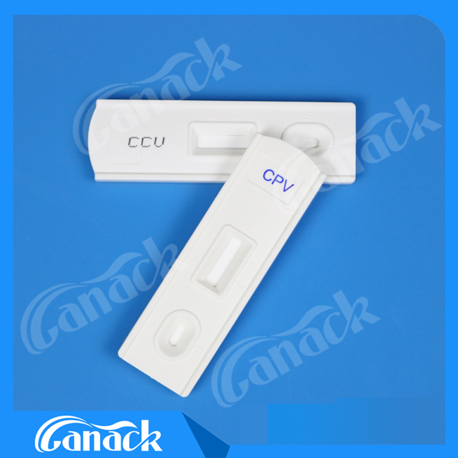 Canine Parvovirus Antigen Rapid Test Kit Cpv Test Hot Sale