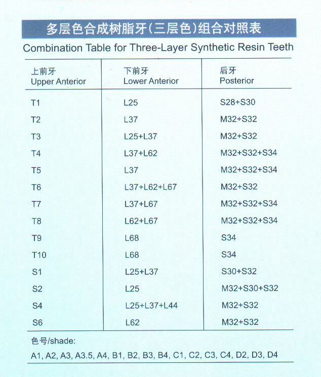 R101 Three-Layer Synthetic Resin Teeth