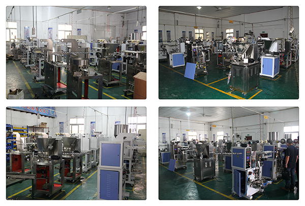 Automatic Special Customized Plastic Packing Machine