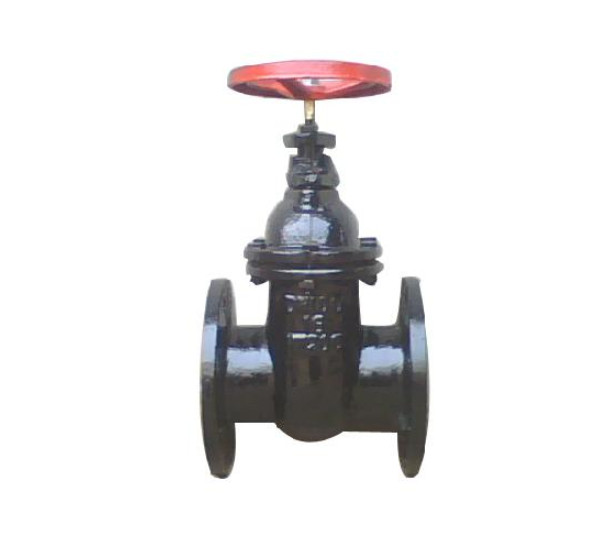 Cast Iron Flanged Gate Valve