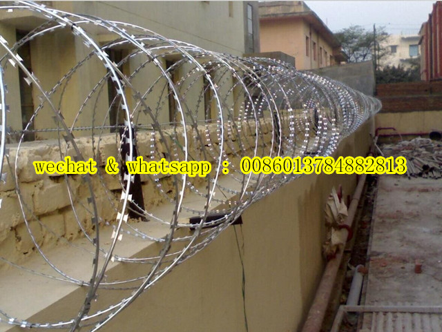 Hot Dipped Galvanized Razor Barbed Tape Wire Bto 10