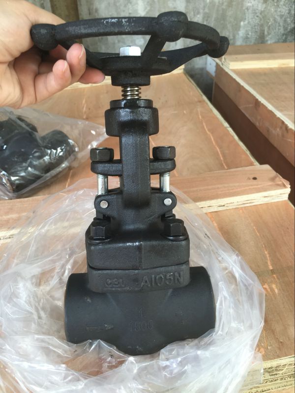 Forged Steel Globe Valve (J11H)