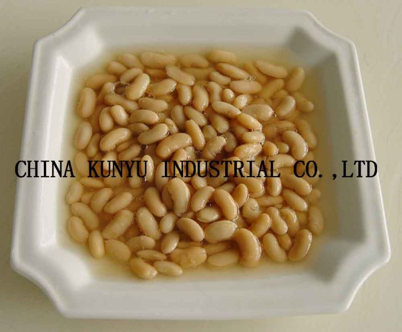 White Beans in Tins with High Quality