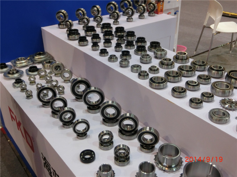 Deep Groove Ball Bearing (6204ZZ)