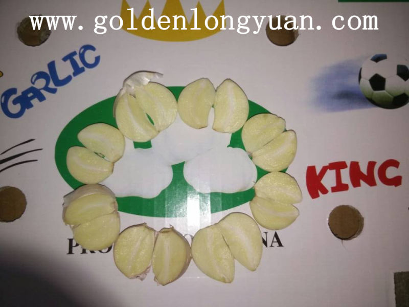 Normal White Garlic Good Quality From Jinxiang