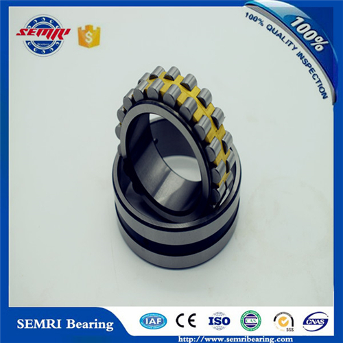 Double Row Bearing (NN49/600K) High Precision Bearing with Competitive Price