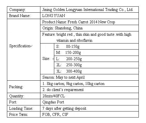 Good Quality of Chinese Fresh Carrot From Factory