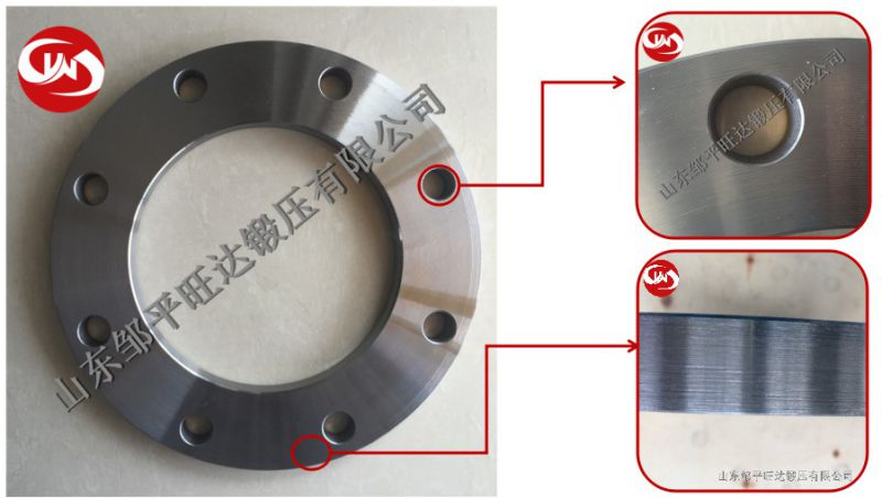 A105 Carbon Steel Forged Welding Neck Pipe Flange
