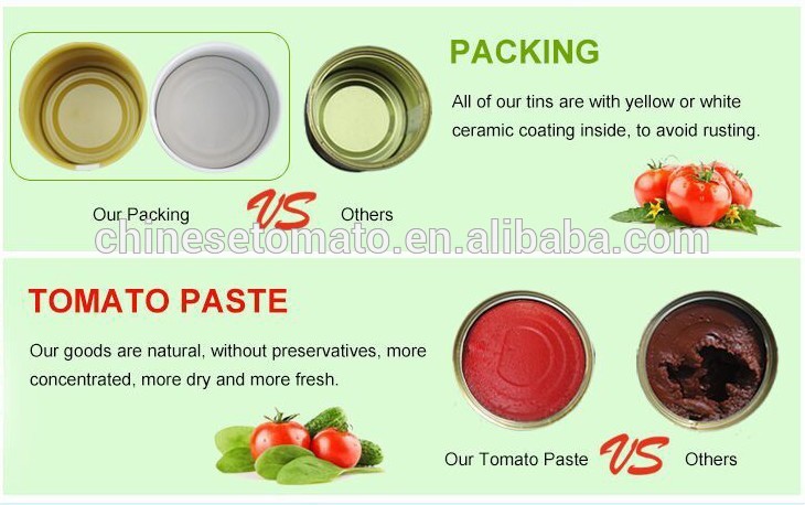 Sachet Tomato Paste with High Quality No Additive