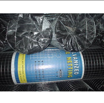 Hot Dipped Galvanized Welded Wire Mesh (CE&SGS)