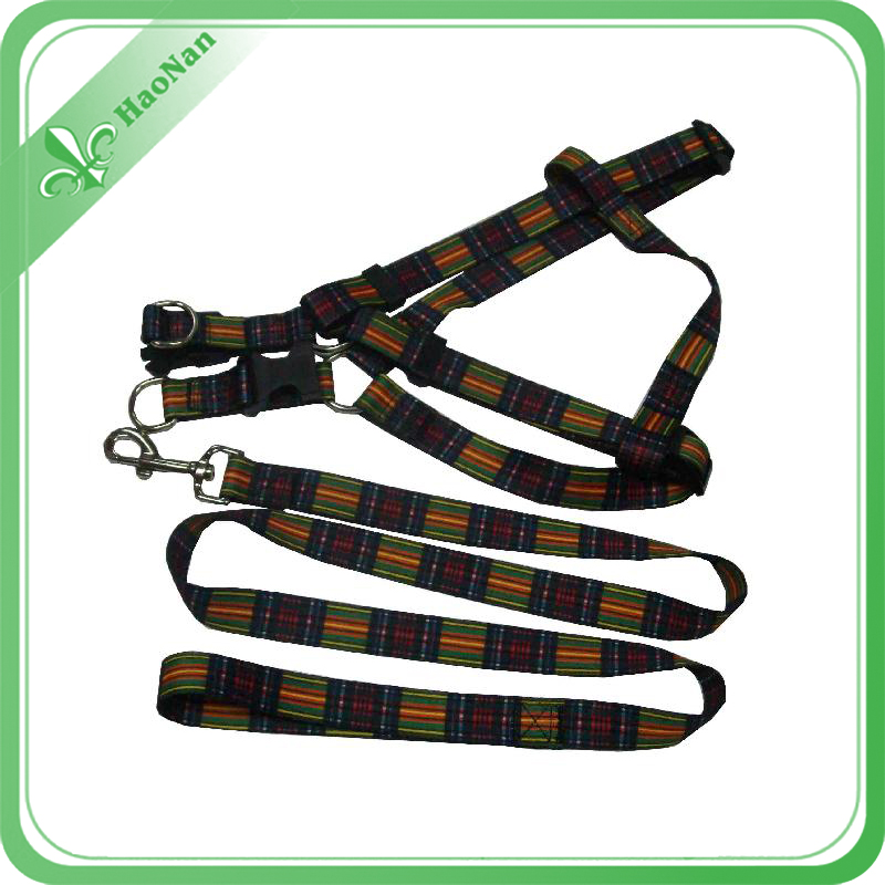 Custom Colorful Printed Nylon Dog Leash