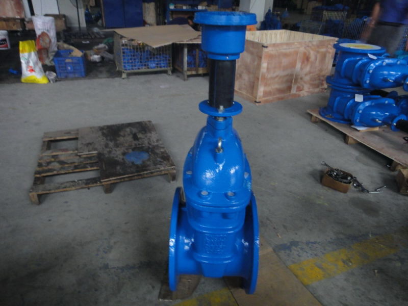 Resilient Seated Gate Valve with Extension Spindle