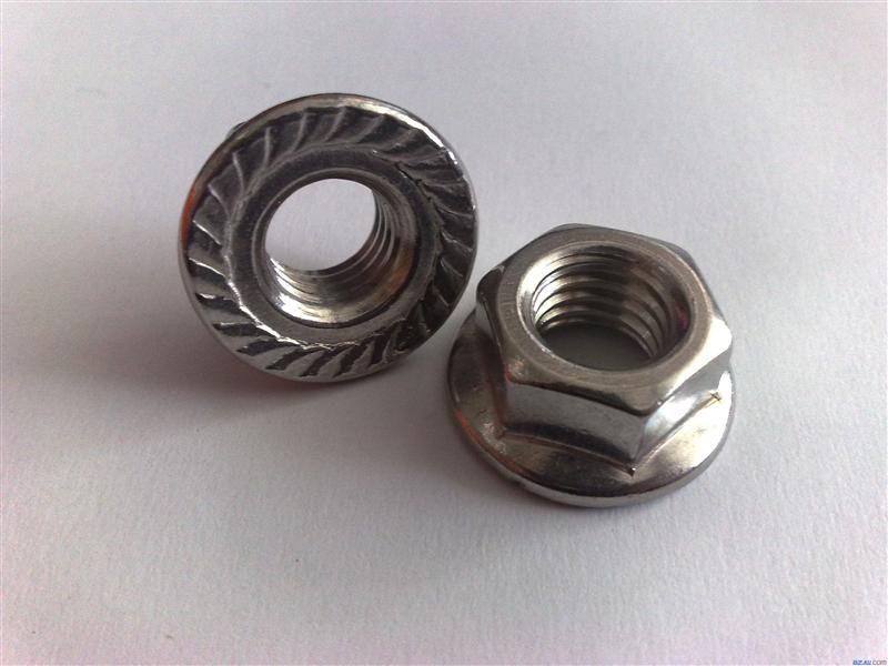 Stainless Steel Hex Flange Nut (DIN6923)